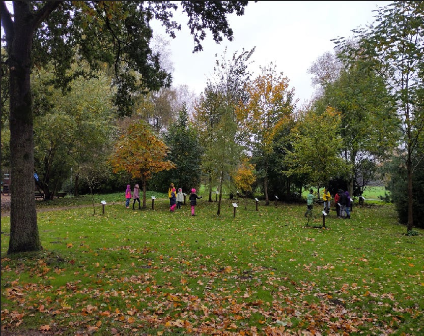 Mobirise Website Builder