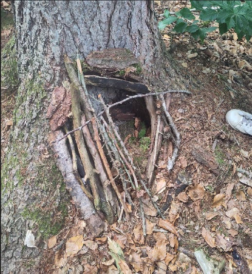 Mobirise Website Builder